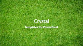  Presentation with green grass artificial top - Presentation with synthetic turf - green artificial grass background and a tawny brown colored foreground