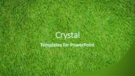  Presentation with grass - Presentation featuring synthetic turf - green artificial grass background and a tawny brown colored foreground