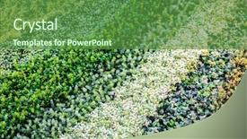  Presentation with green grass artificial top - PPT theme having synthetic turf - multicolor artificial grass background and a tawny brown colored foreground