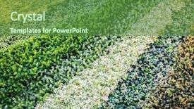  Presentation with multicolor - Theme featuring synthetic turf - multicolor artificial grass background and a tawny brown colored foreground