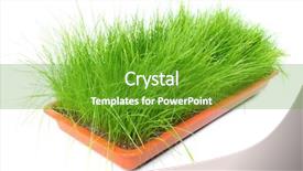  Presentation with circulatory system - Audience pleasing PPT theme consisting of system they also have mild backdrop and a tawny brown colored foreground