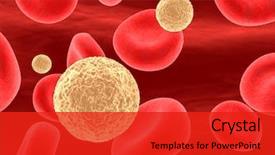  Presentation with cell biology - Cool new slide deck with t- killer cells backdrop and a red colored foreground