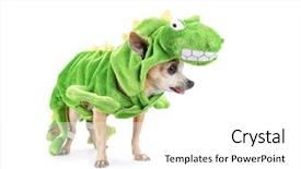  Presentation with dinosaur - Amazing PPT theme having t rex - cute chihuahua dressed backdrop and a white colored foreground