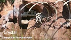  Presentation with dinosaur - Presentation theme with t rex - dinosaur bones in the side background and a coral colored foreground