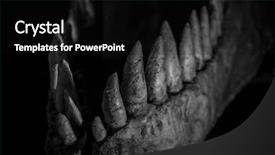  Presentation with dinosaur - Theme consisting of t rex - dinosaur bones with sharp textures background and a black colored foreground