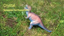  Presentation with dinosaur - Colorful presentation enhanced with t rex - dinosaur in the grass backdrop and a  colored foreground