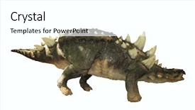  Presentation with dinosaur - Slide set having t rex - dinosaur on the white background background and a white colored foreground