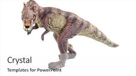  Presentation with dinosaur - Colorful slides enhanced with t rex - dinosaur on the white background backdrop and a white colored foreground