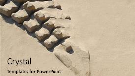  Presentation with dinosaur - Audience pleasing presentation consisting of t rex - dinosaur skeleton in the sand backdrop and a soft green colored foreground