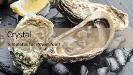  Presentation with graphite - Colorful PPT layouts enhanced with tabac - raw oysters on the graphite backdrop and a coral colored foreground