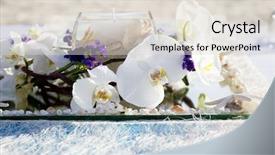  Presentation with flowers - Audience pleasing presentation theme consisting of table centerpiece with flowers backdrop and a lemonade colored foreground