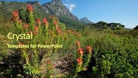  Presentation with cape town - Presentation design having table mountain cape town background and a tawny brown colored foreground