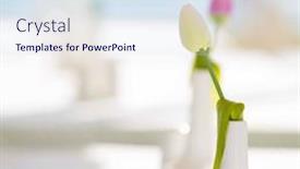  Presentation with flower office desk table - Cool new PPT theme with table-of-an-outdoor-cafe backdrop and a sky blue colored foreground