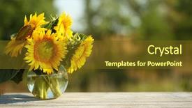  Presentation with sunflower - Slides featuring table on bright background background and a tawny brown colored foreground
