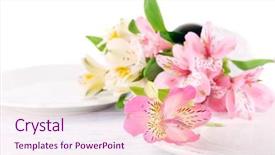  Presentation with white flowers of jasmine - PPT theme with table setting with flowers isolated background and a  colored foreground