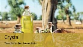  Presentation with olive oil - Presentation theme featuring table under the olive tree background and a gold colored foreground