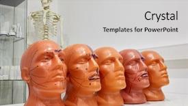  Presentation with glass human head brain - Audience pleasing presentation consisting of table with cabinet and skeleton backdrop and a light gray colored foreground