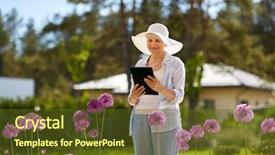  Presentation with summer flowers - Presentation with tablet pc computer and flower background and a tawny brown colored foreground