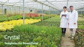 Presentation with nursery plant - PPT theme featuring tablet pc in the nursery background and a tawny brown colored foreground