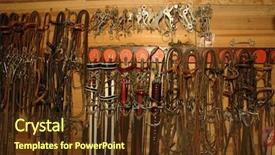  Presentation with bits - PPT layouts featuring tacks - typical tack room with bridles background and a  colored foreground