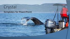  Presentation with whale - Presentation theme having tadoussac-canada-august-25th background and a light blue colored foreground