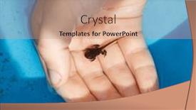  Presentation with tadpole - Slides having tadpole-in-the-palm background and a coral colored foreground