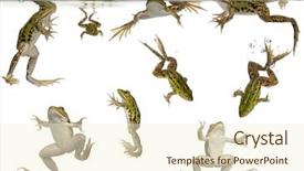  Presentation with swimming - Cool new presentation theme with tadpoles swimming under water backdrop and a cream colored foreground