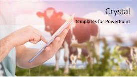  Presentation with man relaxing on massage table - Audience pleasing slides consisting of tag cloud - man using tablet pc backdrop and a coral colored foreground