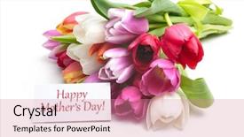  Presentation with tulips - Amazing theme having tag isolated on white backdrop and a coral colored foreground