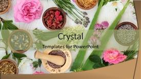  Presentation with alternative medicine - PPT theme enhanced with taget - natural alternative medicine selection background and a mint green colored foreground