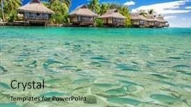  Presentation with lagoon - Cool new PPT theme with tahiti - fish swimming in the tropical backdrop and a seafoam green colored foreground