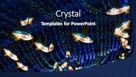  Presentation with ranch - 