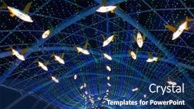  Presentation with ranch - 