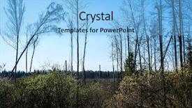  Presentation with taiga forest - Amazing PPT theme having taiga - image of a spring forest backdrop and a light blue colored foreground