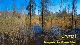  Presentation with taiga forest - Colorful presentation design enhanced with taiga - image of a spring forest backdrop and a tawny brown colored foreground