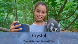 Presentation with selfie - Colorful PPT theme enhanced with tailed lemurs selfie photo animal backdrop and a teal colored foreground