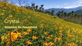  Presentation with lily flower - Slides enhanced with taimali-kinchen-mountain-with-orange background and a tawny brown colored foreground