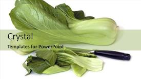  Presentation with white - PPT theme consisting of taise - bok choy whole and sliced background and a yellow colored foreground