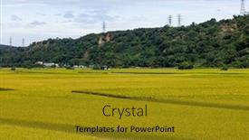  Presentation with paddy field - Slide set featuring taiwan-taichung-waipu-paddy-rice background and a gold colored foreground