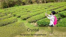  Presentation with take a trip - Cool new slide set with take a picture in tea backdrop and a yellow colored foreground