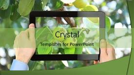  Presentation with green apple - Cool new presentation theme with take photos of green apple backdrop and a yellow colored foreground