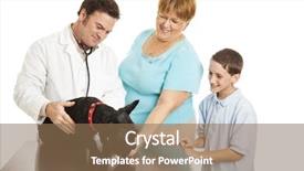  Presentation with mother son flowers - Cool new slides with take their pet scotty dog backdrop and a violet colored foreground