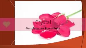  Presentation with love yourself - Presentation theme having take-yourself-out background and a  colored foreground