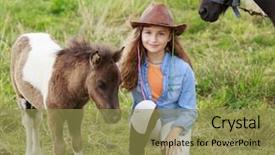  Presentation with foal - Presentation theme featuring takes care of the pony background and a gold colored foreground