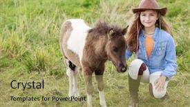  Presentation with foal - Audience pleasing PPT layouts consisting of takes care of the pony backdrop and a yellow colored foreground