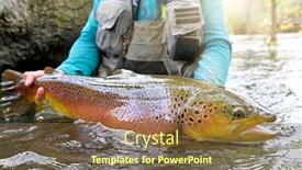  Presentation with trout - Presentation consisting of taking-a-big-brown-trout background and a tawny brown colored foreground