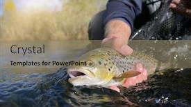  Presentation with trout - Slide set with taking-a-big-brown-trout background and a coral colored foreground