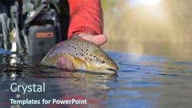  Presentation with trout - Colorful presentation design enhanced with taking-a-big-brown-trout backdrop and a ocean colored foreground