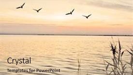  Presentation with advantage - Presentation theme with taking advantage of the last background and a lemonade colored foreground