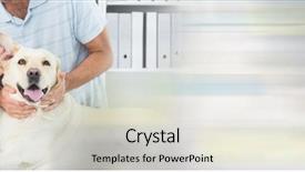  Presentation with checks - Presentation theme consisting of taking care of a big background and a lemonade colored foreground